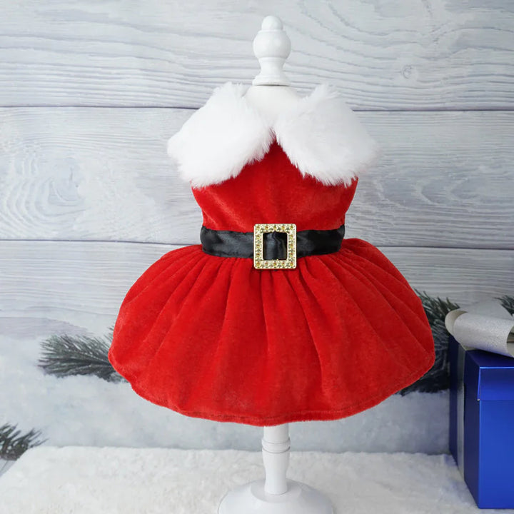 Christmas Pet Dress-Up Outfit